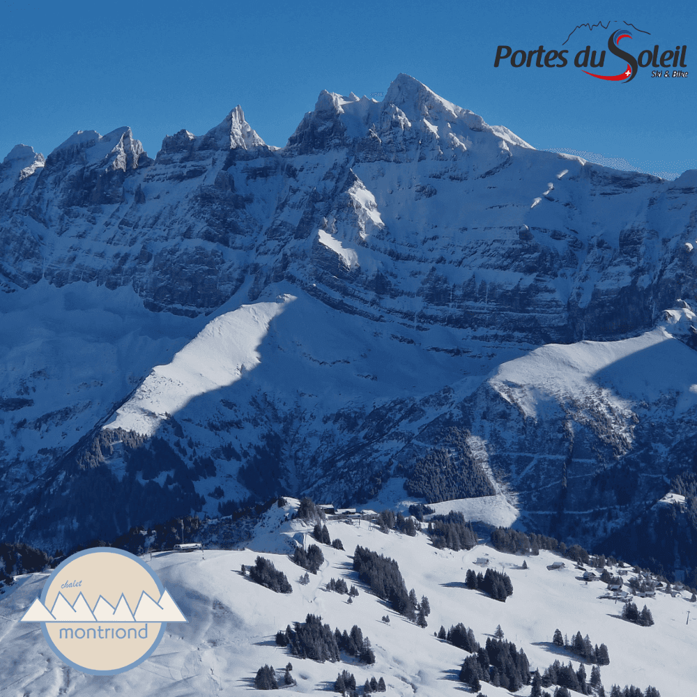 Offre Ski 2=3 — Chalet Montriond