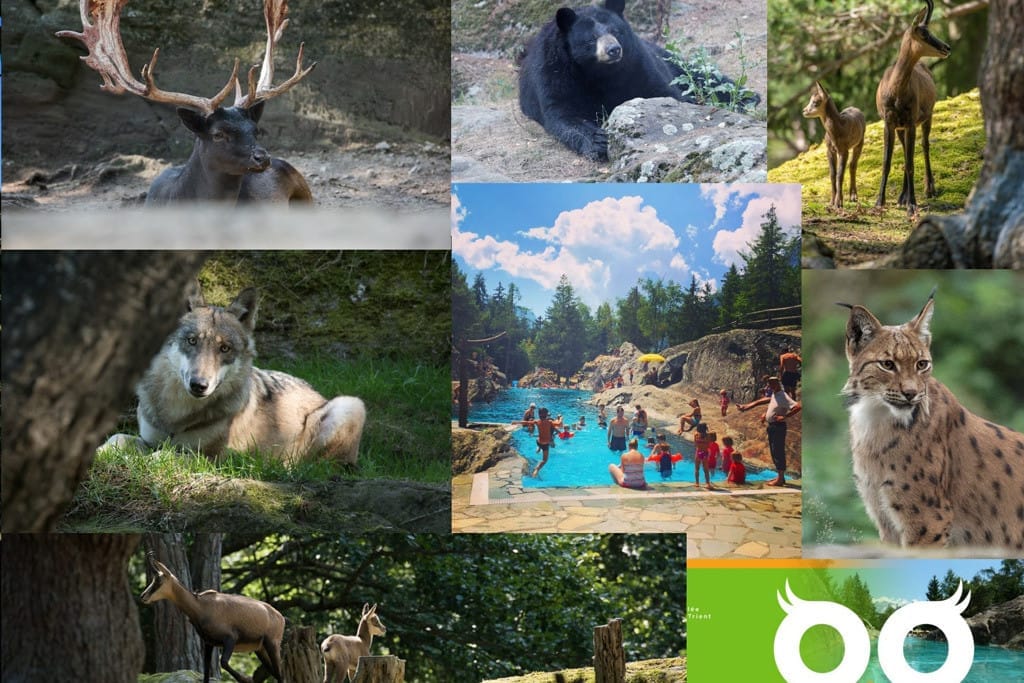 Zoo des Marécottes