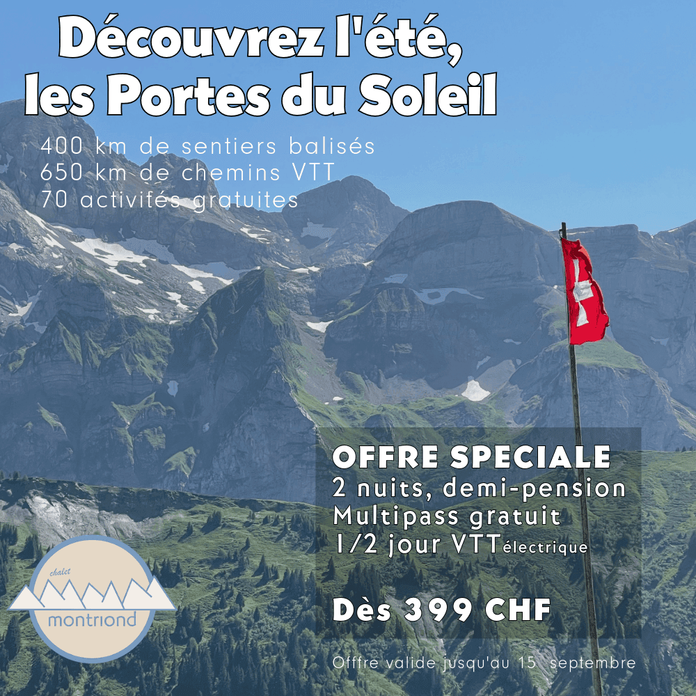 Sommerangebot – Visual 2