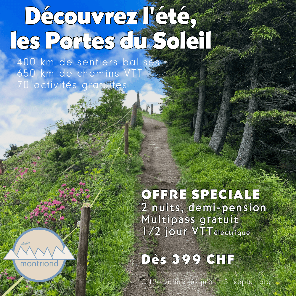 Sommerangebot – Visual 3