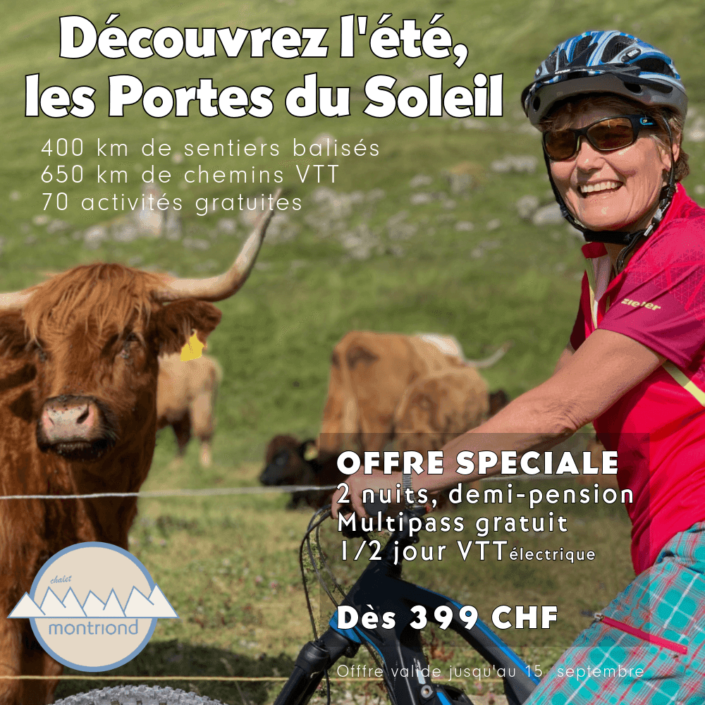 Sommerangebot – Visual 4