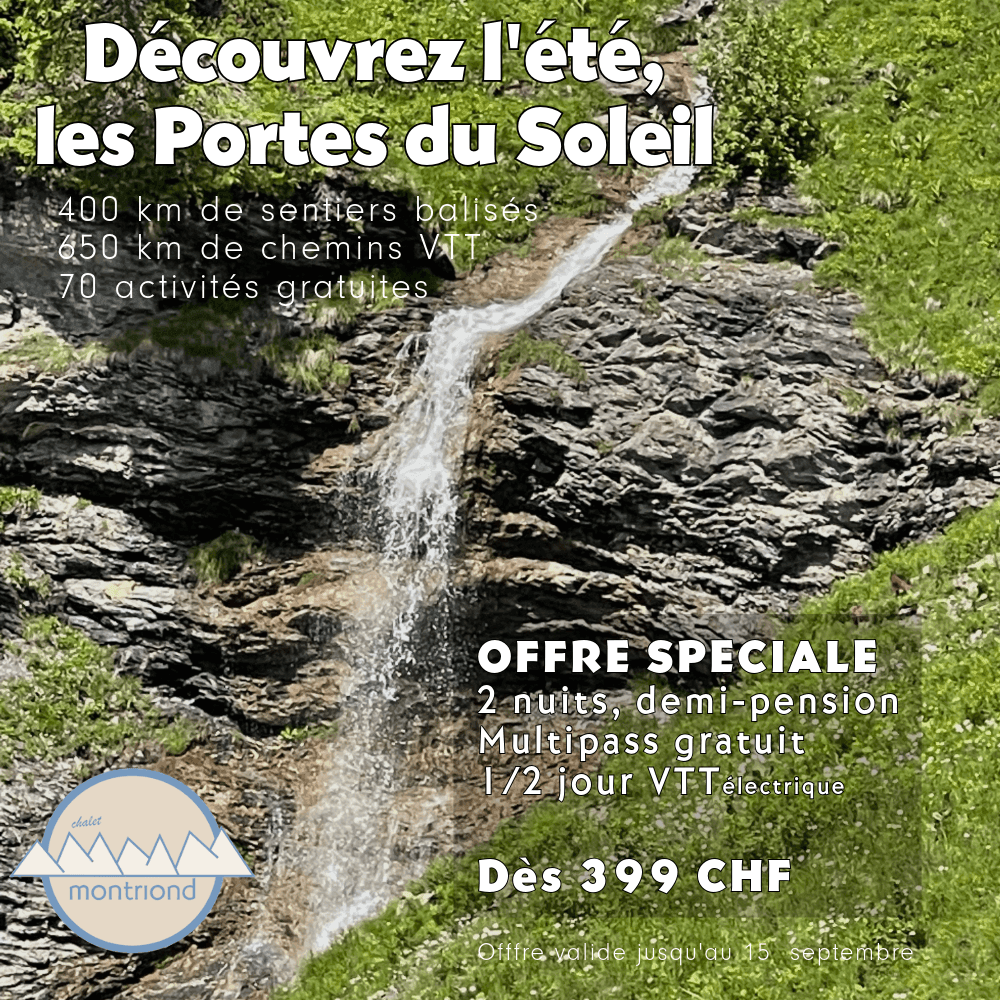 Sommerangebot – Visual 5