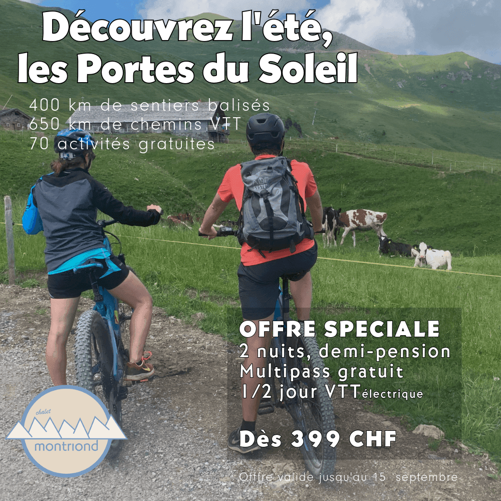 Sommerangebot – Visual 6