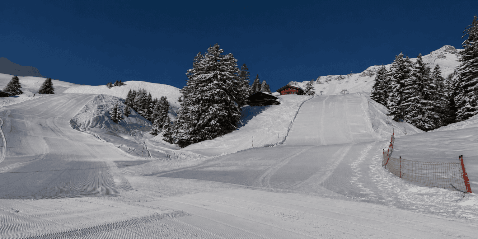Piste enneigée entre les sapins aux Crosets